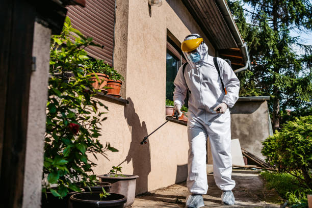 Best Pest Control Near Me  in Bayside Gardens, OR